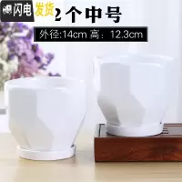 三维工匠欧式花盆陶瓷大号清白色仓带托盘家用室内阳台简约多肉绿萝植批发 (两个中号)70016白 中等花盆容器