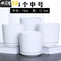 三维工匠欧式花盆陶瓷大号清白色仓带托盘家用室内阳台简约多肉绿萝植批发 90006白(四个中号) 中等花盆容器