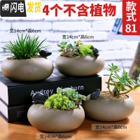 三维工匠多肉花盆植物简约陶瓷盆器套装种多肉个性盆器 套081(499500501502) 中小花盆容器