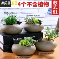 三维工匠多肉花盆植物简约陶瓷盆器套装种多肉个性盆器 套081(499500501502) 中小花盆容器
