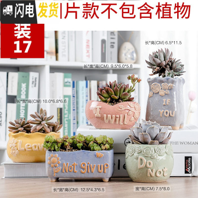 三维工匠多肉花盆植物简约陶瓷盆器套装种多肉个性盆器 套17(5个) 中小花盆容器