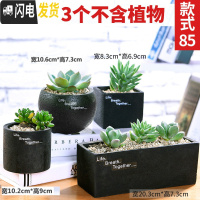 三维工匠多肉花盆植物简约陶瓷盆器套装种多肉个性盆器 套装085(随机发3个) 中小花盆容器