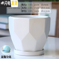 三维工匠陶瓷花盆带陶瓷托盘特大号大号简约家用绿萝吊兰花盆 70016-18白钻纹 中等花盆容器