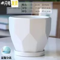 三维工匠陶瓷花盆带陶瓷托盘特大号大号简约家用绿萝吊兰花盆 70016-18白钻纹 中等花盆容器