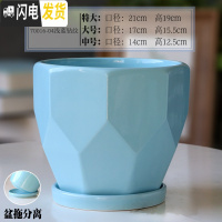三维工匠陶瓷花盆带陶瓷托盘特大号大号简约家用绿萝吊兰花盆 70016-04浅蓝钻纹 中等花盆容器