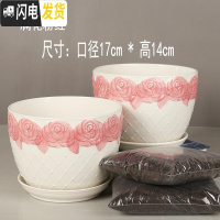 三维工匠陶瓷花盆大号多肉芦荟吊兰带托盘绿萝创意个性口径17cm高 (满花粉红2个大号+2斤营养土) 大花盆容器