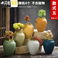 三维工匠多肉花盆陶瓷粗陶透气复古创意大号老桩肉肉植物盆 款式23 中等花盆容器