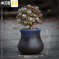三维工匠多肉花盆陶瓷粗陶透气复古创意大号老桩肉肉植物盆 款式24 中等花盆容器