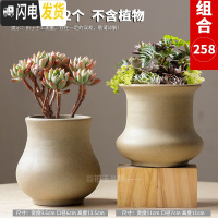 三维工匠多肉花盆陶瓷粗陶透气复古创意大号老桩肉肉植物盆 款式4 中等花盆容器