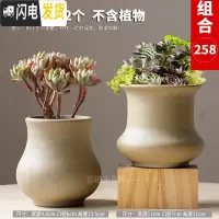 三维工匠多肉花盆陶瓷粗陶透气复古创意大号老桩肉肉植物盆 款式4 中等花盆容器