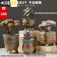 三维工匠多肉花盆陶瓷粗陶透气复古创意大号老桩肉肉植物盆 款式2 中等花盆容器