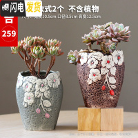 三维工匠多肉花盆陶瓷粗陶透气复古创意大号老桩肉肉植物盆 款式6 中等花盆容器