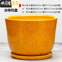 三维工匠陶瓷花盆带托盘大号特大号阳台绿植多肉植物居家办公绿萝花盆 058-黄花釉 [大号]花盆容器