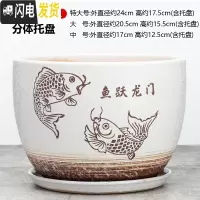 三维工匠陶瓷花盆带托盘大号特大号阳台绿植多肉植物居家办公绿萝花盆 059-双鲤鱼 [中号]花盆容器