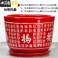 三维工匠陶瓷花盆带托盘大号特大号阳台绿植多肉植物居家办公绿萝花盆 058-大红福 [中号]花盆容器
