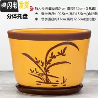 三维工匠陶瓷花盆带托盘大号特大号阳台绿植多肉植物居家办公绿萝花盆 桔色058-黄紫砂[兰花 [中号]花盆容器