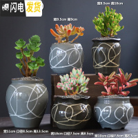 三维工匠多肉花盆大号老桩创意个性大口径粗陶透气陶瓷肉肉植物盆 DL手造-19组合5个 中等花盆容器