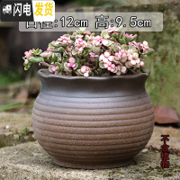 三维工匠景德镇陶瓷大口径肉肉植物花盆中大号粗陶透气盆栽 坐浪(有孔) 大花盆容器
