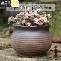 三维工匠景德镇陶瓷大口径肉肉植物花盆中大号粗陶透气盆栽 坐浪(有孔) 大花盆容器