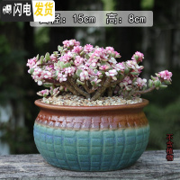 三维工匠景德镇陶瓷大口径肉肉植物花盆中大号粗陶透气盆栽 经典236(有孔) 大花盆容器