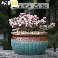 三维工匠景德镇陶瓷大口径肉肉植物花盆中大号粗陶透气盆栽 经典236(有孔) 大花盆容器