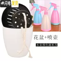 三维工匠懒人花盆自动吸水花盆绿萝用懒人盆特大水培自吸盆塑料吸水盆 盆+喷壶1个 m11[特特加大2个装]花盆容器