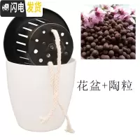 三维工匠懒人花盆自动吸水花盆绿萝用懒人盆特大水培自吸盆塑料吸水盆 盆+2升陶粒 m3[特小号10个装]花盆容器