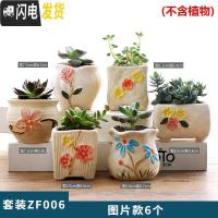 三维工匠韩式多肉花盆陶瓷粗陶透气创意个性肉肉植物拇指简约花盆 倾城花朵组合6个 小花盆容器