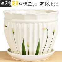 三维工匠花盆陶瓷带托盘大号特大号家用简约绿萝吊兰多肉绿植花盆 特大号蒲公英1件套 中等花盆容器