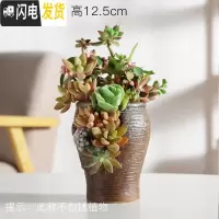 三维工匠多肉个性陶瓷花盆多孔洞洞花盆多肉盆栽摆件绿植陶瓷盆高款兰花盆 洞洞盆HZ29 中等花盆容器