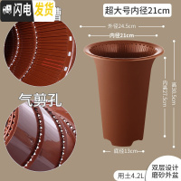 三维工匠控根兰花专用盆双层透明塑料透气超紫砂加厚兰花盆免沥水罩 内径21cm咖色无托盘[升级气剪孔+内盆凸起] 花盆容器