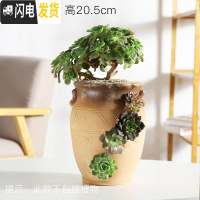 三维工匠创意个性多肉陶瓷花盆多孔多肉老桩拼盘花器多洞陶瓷法师老桩花盆 洞洞盆HZ265 大花盆容器