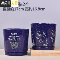 三维工匠欧式花盆陶瓷大号绿萝特大号小多肉花盆带托盘 TA09套装大号2个带托盘 中等花盆容器