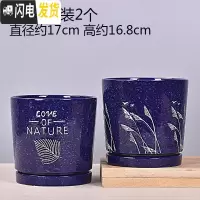三维工匠欧式花盆陶瓷大号绿萝特大号小多肉花盆带托盘 TA09套装大号2个带托盘 中等花盆容器