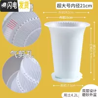 三维工匠控根兰花专用盆双层透明塑料透气超紫砂加厚兰花盆免沥水 内径21cm外白内透明+托盘[升级气剪孔+内盆凸起花盆容器