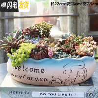 三维工匠多肉花盆陶瓷粗陶透气大口径大号肉肉盆栽创意小盆栽 善根龙猫拼盘 中等花盆容器