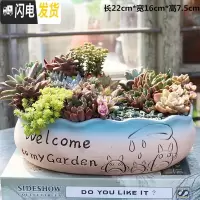 三维工匠多肉花盆陶瓷粗陶透气大口径大号肉肉盆栽创意小盆栽 善根龙猫拼盘 中等花盆容器