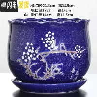 三维工匠花盆陶瓷大号带托盘特大号中国风绿萝吊兰多肉盆栽 TX古蓝色-喜梅单个 中等花盆容器