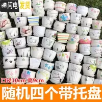 三维工匠多肉花盆陶瓷大号肉肉植物个性绿萝创意简约大口径小花盆 随机4个带托盘10cm 小花盆容器