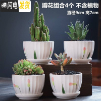 三维工匠多肉花盆陶瓷大号肉肉植物个性绿萝创意简约大口径小花盆 瓣草组合4个带托盘(亏) 小花盆容器