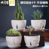 三维工匠多肉花盆陶瓷大号肉肉植物个性绿萝创意简约大口径小花盆 瓣草组合4个带托盘(亏) 小花盆容器