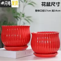 三维工匠红色花盆陶瓷大号家用中国风带托盘创意绿萝吊兰多肉花盆 207(尊贵红)大号两个 大花盆容器