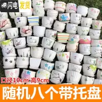 三维工匠多肉花盆陶瓷大号肉肉植物个性绿萝创意简约大口径小花盆 随机8个带托盘10cm 小花盆容器