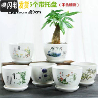 三维工匠多肉花盆陶瓷大号肉肉植物个性绿萝创意简约大口径小花盆 晨曦组合6个带托盘 小花盆容器