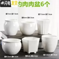 三维工匠多肉花盆陶瓷大号肉肉植物个性绿萝创意简约大口径小花盆 简约肉肉盆6个 小花盆容器