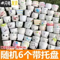 三维工匠多肉花盆陶瓷大号肉肉植物个性绿萝创意简约大口径小花盆 随机6个带托盘10cm 小花盆容器