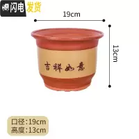 三维工匠 梅花盆 兰花盆 盆景花盆 特大 陶瓷花盆 口径19cm限拍2个() 大花盆容器