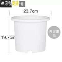 三维工匠彩色Deepot深型月季铁线莲花盆树脂花盆塑料加仑花盆 7号白色直径约23.7厘米 中等花盆容器