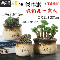 三维工匠韩式多肉花盆陶瓷大号大口径肉肉植物粗陶透气创意小花盆 我们是一家人花盆3个 小花盆容器