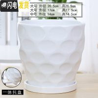 三维工匠花盆陶瓷北欧简约创意大号带托盘黑白室内绿萝吊兰家用盆 70003白(高款) 特大花盆容器